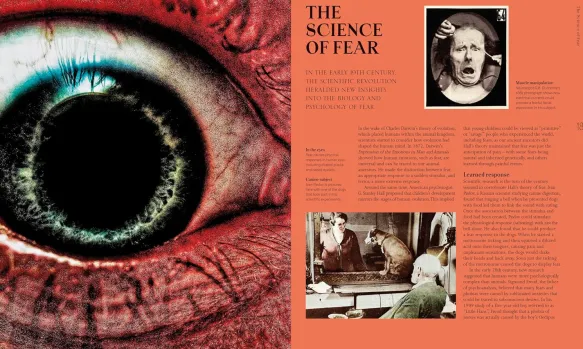 A History of Horror, Fear and the Uncanny