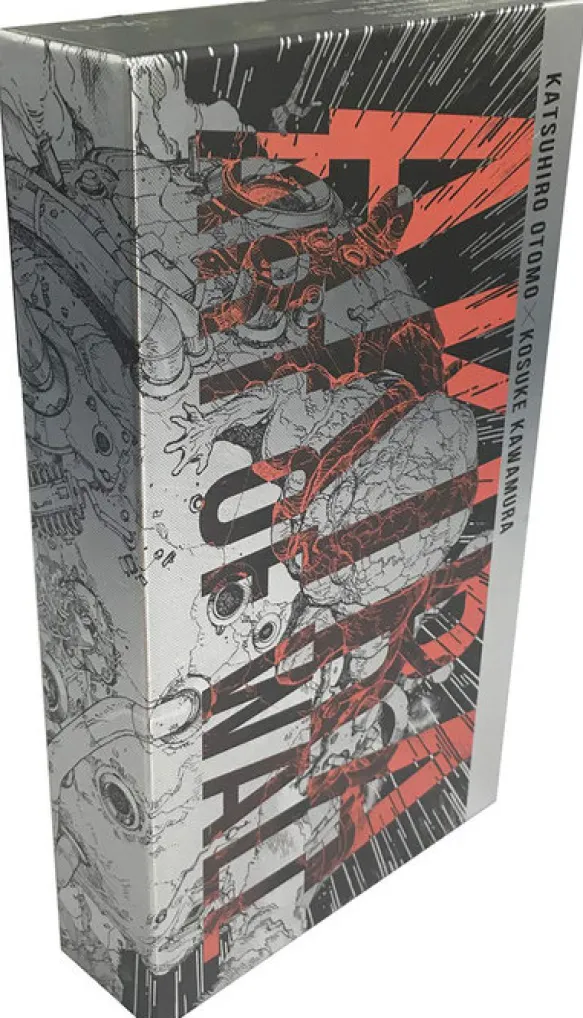 AKIRA: Art of Wall