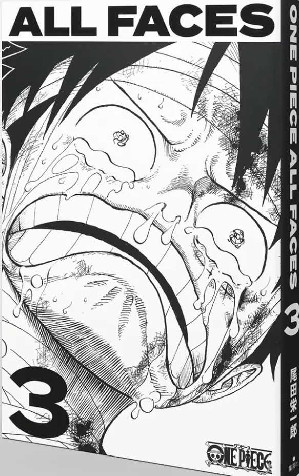 ALL FACES 3