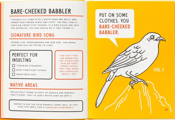 An Illustrated Guide to Birds that Sound like Insults