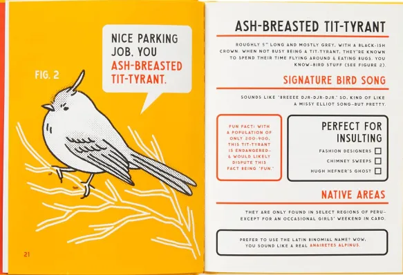 An Illustrated Guide to Birds that Sound like Insults