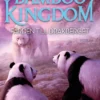 Bamboo Kingdom 1:3 - Färden till Drakberget