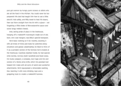 Billy and the Giant Adventure