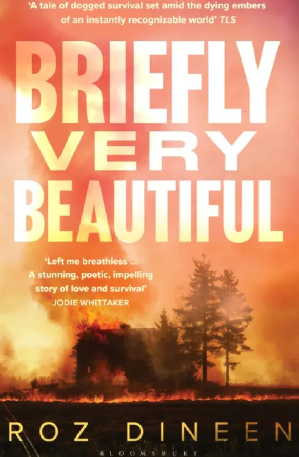 Briefly Very Beautiful
