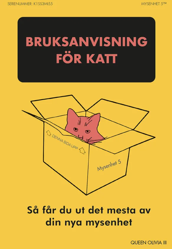 Bruksanvisning för katt - så får du ut det mesta av din nya mysenhet