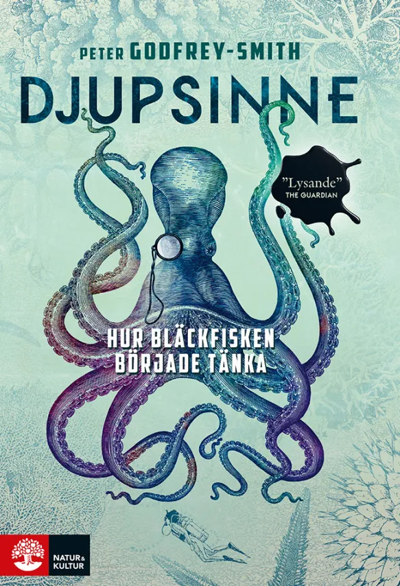 Djupsinne - hur bläckfisken började tänka