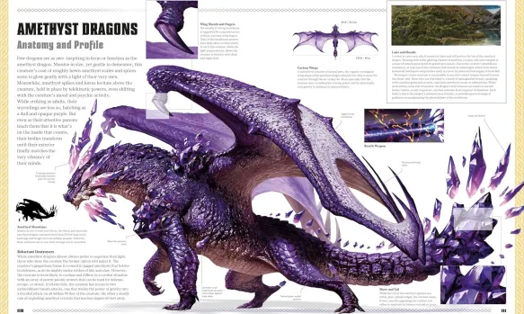 Dungeons & Dragons The Book of Dragons