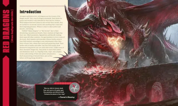 Dungeons & Dragons The Book of Dragons