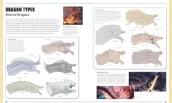 Dungeons & Dragons The Book of Dragons