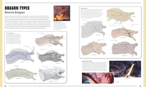 Dungeons & Dragons The Book of Dragons