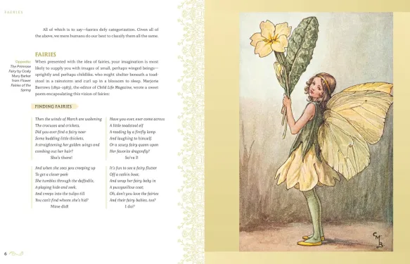 Faeries: A History in Art, Verse, and Lore