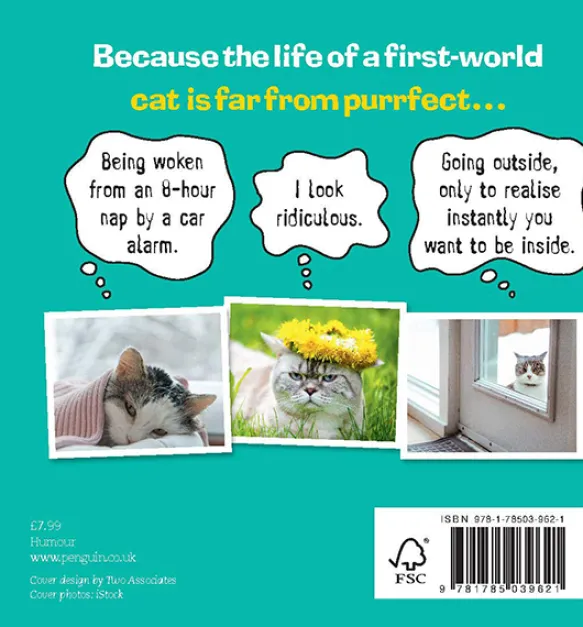 First World Cat Problems