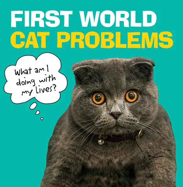 First World Cat Problems