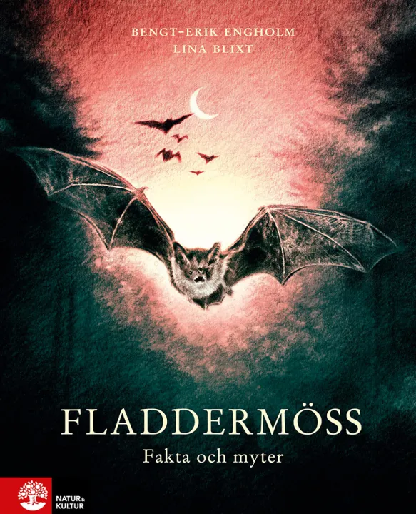 Fladdermöss - fakta och myter
