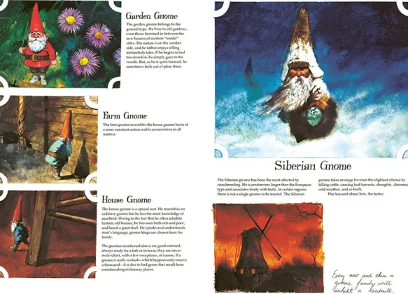 Gnomes