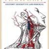 Gray's Anatomy