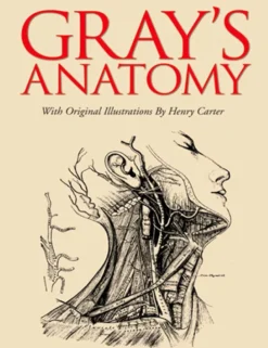 Gray's Anatomy