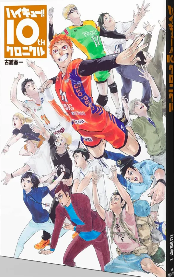 Haikyuu! 10th Chronicle Art Book