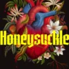 Honeysuckle