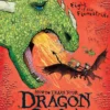 How To Train Your Dragon School: Fight of the Flamestrike