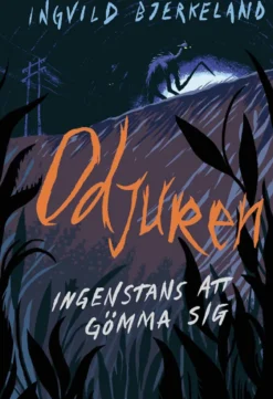 Ingenstans att gömma sig