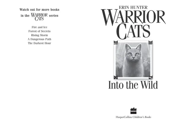 Into the Wild - Warriors Book 1