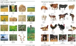 Korean-English Bilingual Visual Dictionary