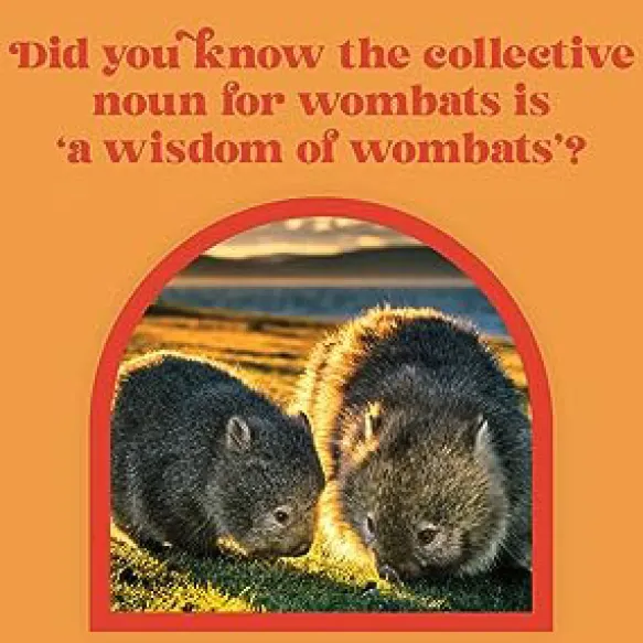 Little Book of Wombat Wisdom