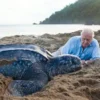 Living Planet: The Web of Life on Earth
