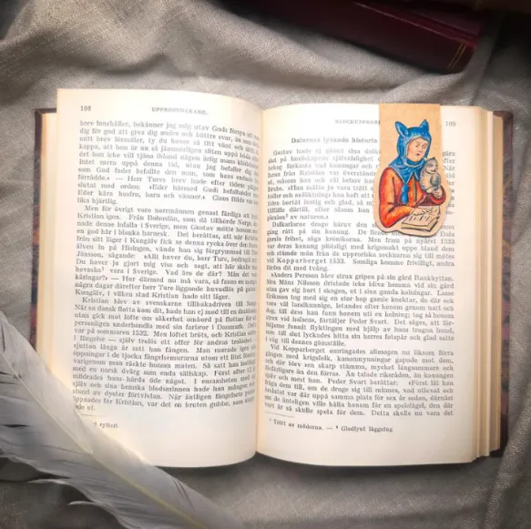 Medieval Cat Lover Magnetic Bookmark