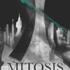 Mitosis