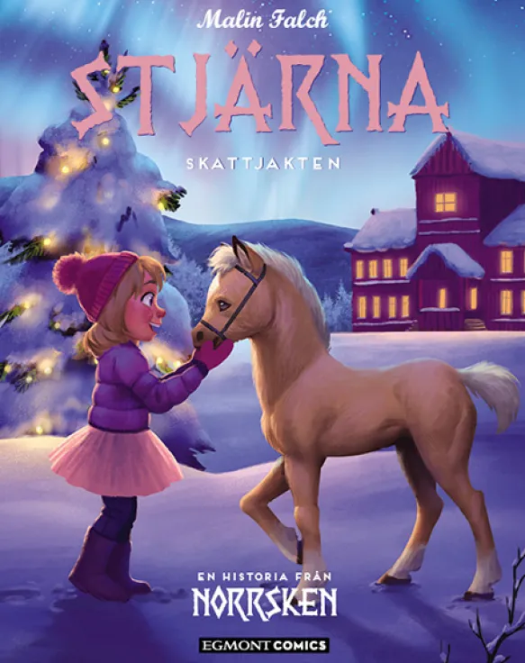 Norrsken: Stjärna: Skattjakten