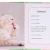 Oh, It's You - Love Poems by Cats