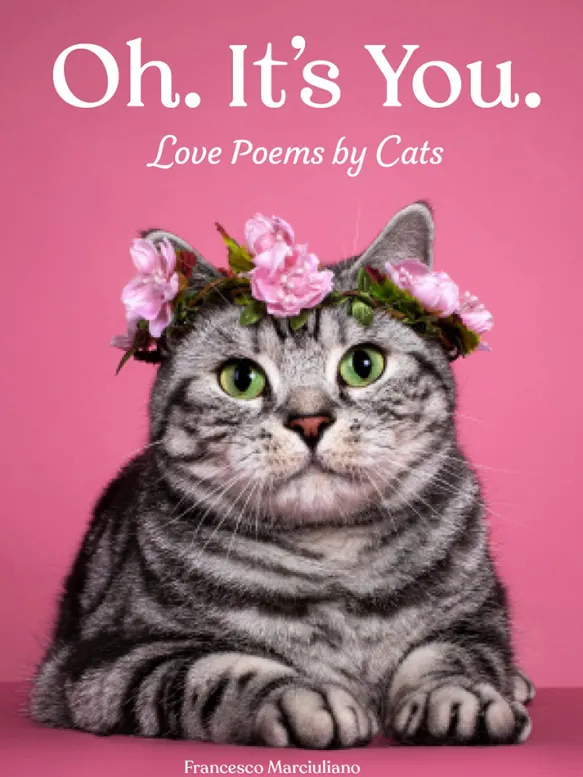 Oh, It's You - Love Poems by Cats