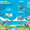 Pokécology: An Illustrated Guide to Pokémon Ecology