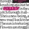 Pollen
