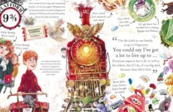 Ron Weasley: Pocket Potters – Little Guides to the HARRY POTTER Stories