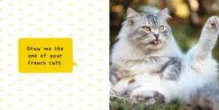Silly Cats