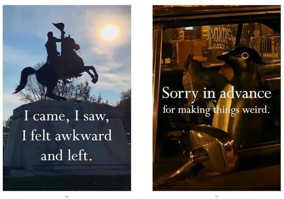 Sorry in Advance for Making Things Weird A Disappointing Affirmations Collection