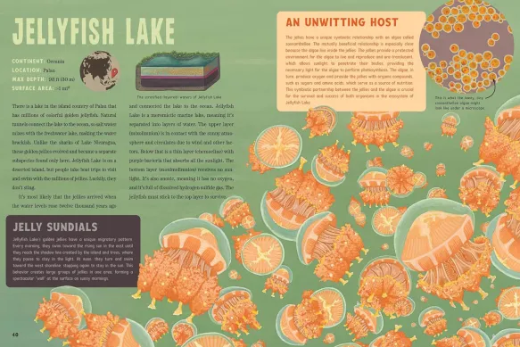 Spooky Lakes - 25 Strange and Mysterious Lakes that Dot Our Planet