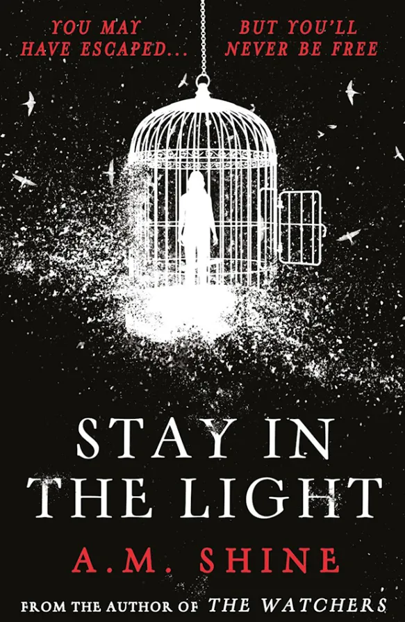 Stay in the Light