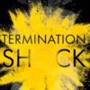 Termination Shock