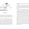 The Chrestomanci Chronicles - Pinhoe Egg