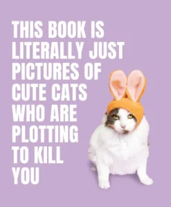 This Book is Literally Just Pictures of Cute Cats Who Are Plotting to Kill You