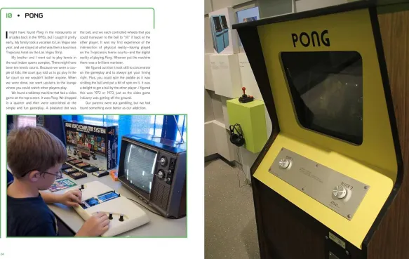 Video Games in 100 Objects