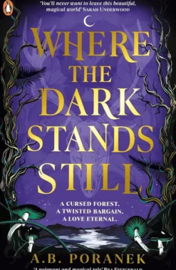 Where the Dark Stands Still