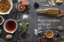 WitchCraft Cocktails: 70 Seasonal Drinks